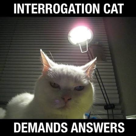 images (2).jpeg