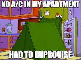 images (3).jpeg