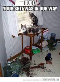images (5).jpeg