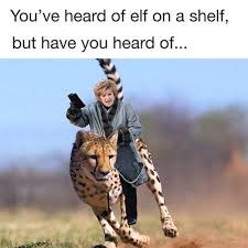 images.jpeg