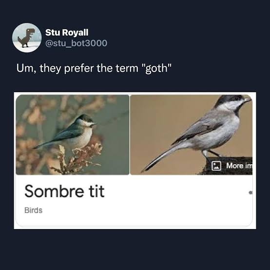 images.jpeg
