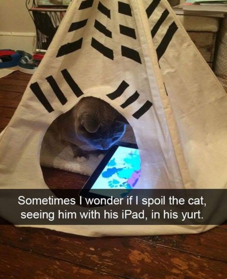 IMG_0334.jpeg
