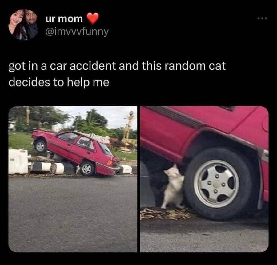 IMG_0464.jpeg