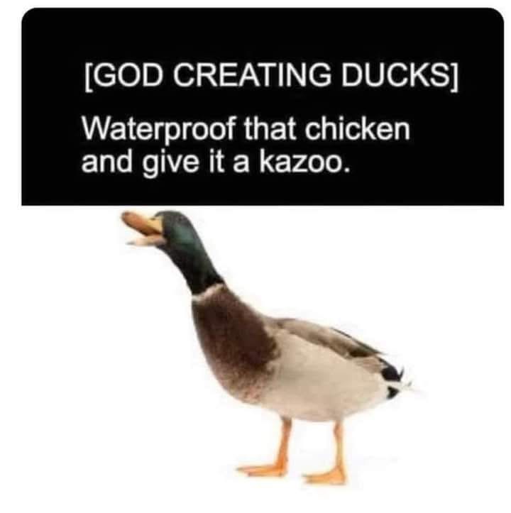 IMG_0554.jpeg