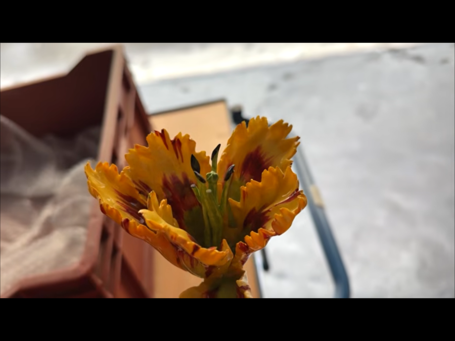 IMG_0573.png