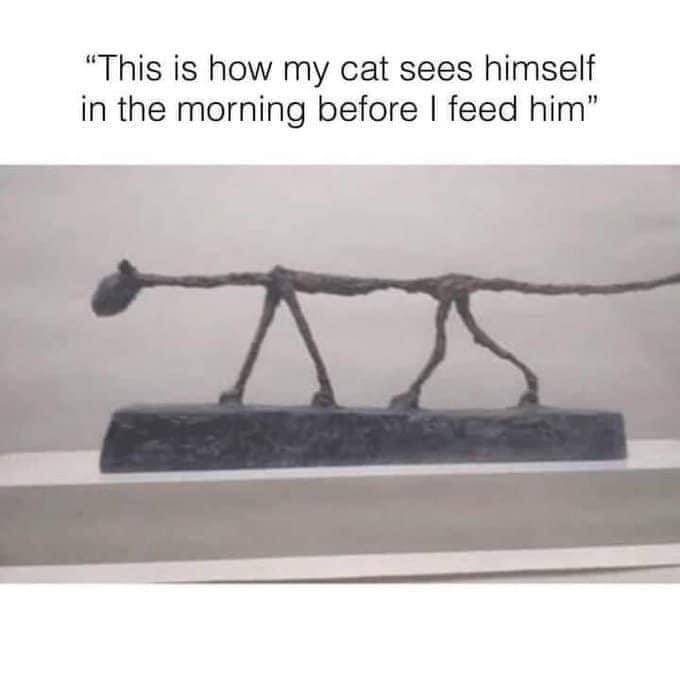 IMG_1271.jpeg