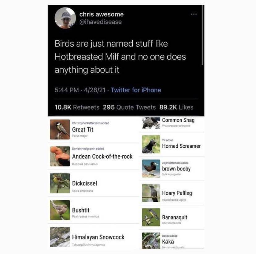 IMG_1305.jpeg