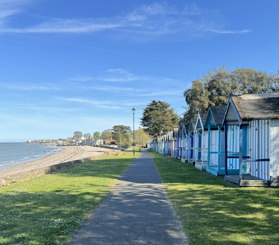 IMG_1422.jpeg
