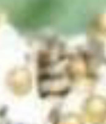IMG_1456.jpeg