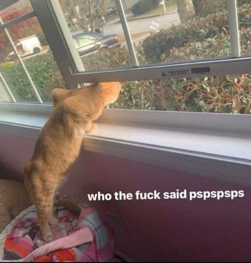 IMG_1679.jpeg