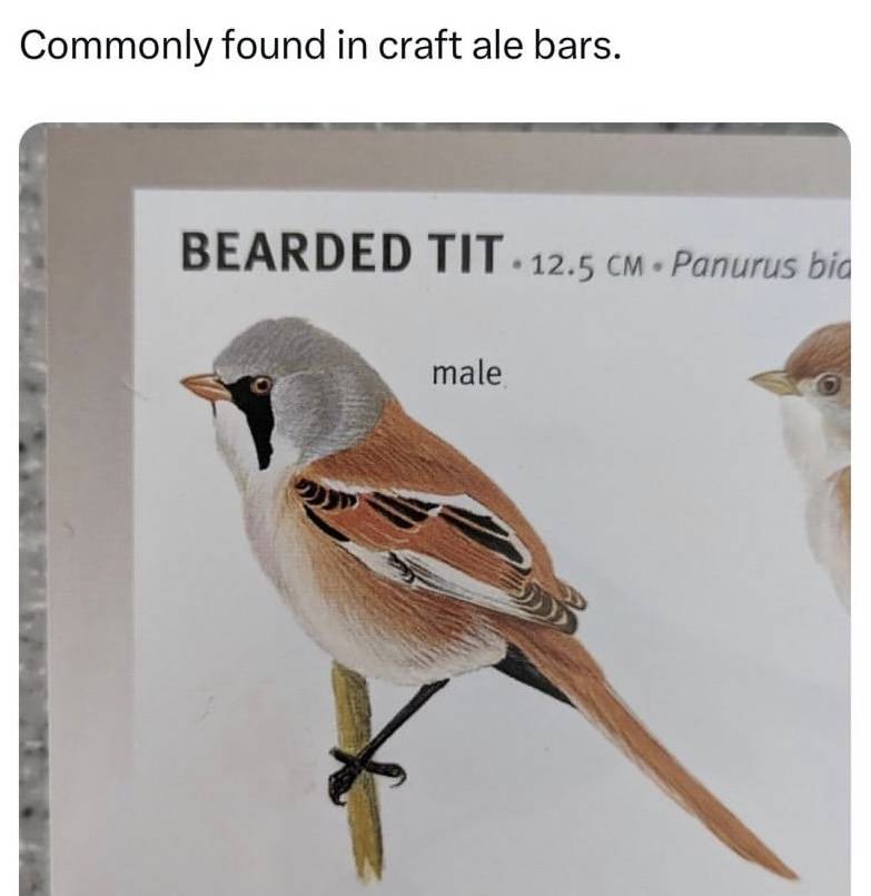 IMG_1824.jpeg