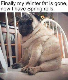 IMG_1949.jpeg