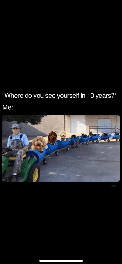 IMG_2176.png