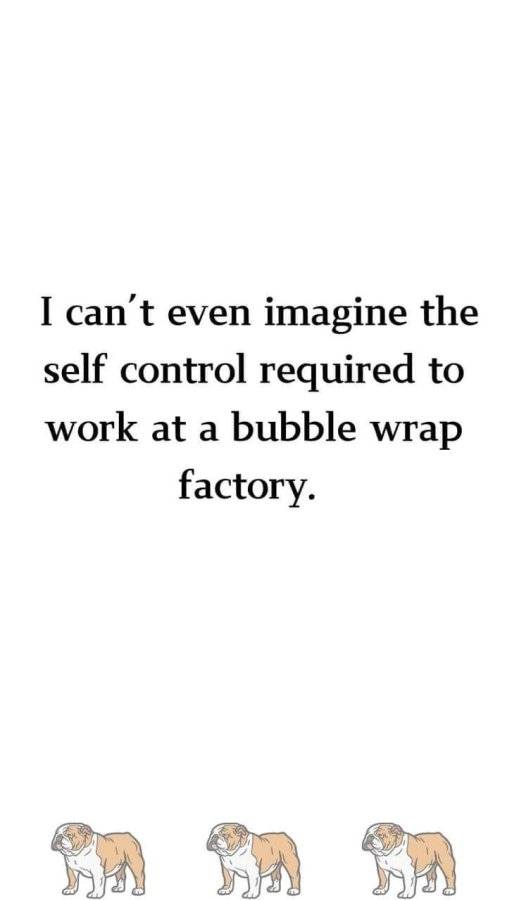 IMG_2691.jpeg