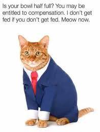 IMG_2960.jpeg