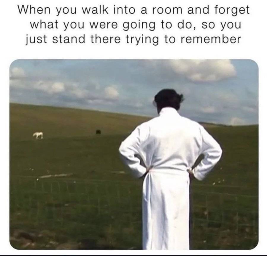 IMG_3180.jpeg