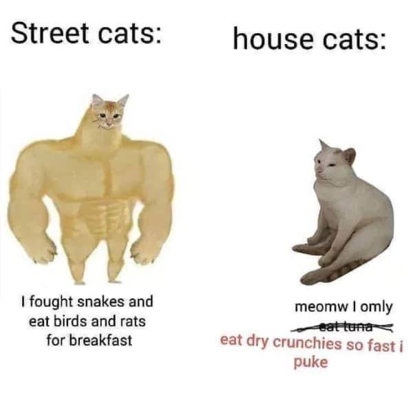 IMG_3206.jpeg