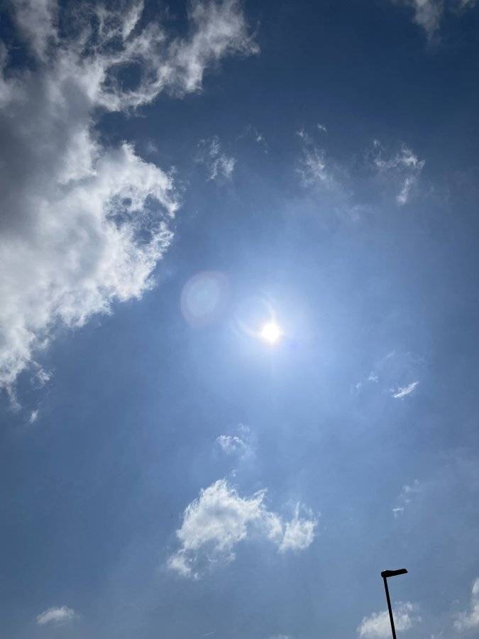IMG_3412.jpeg