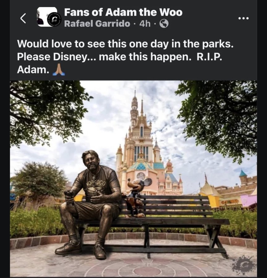 IMG_3691.jpeg