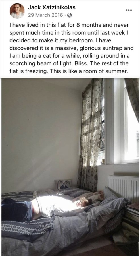 IMG_3708.jpeg