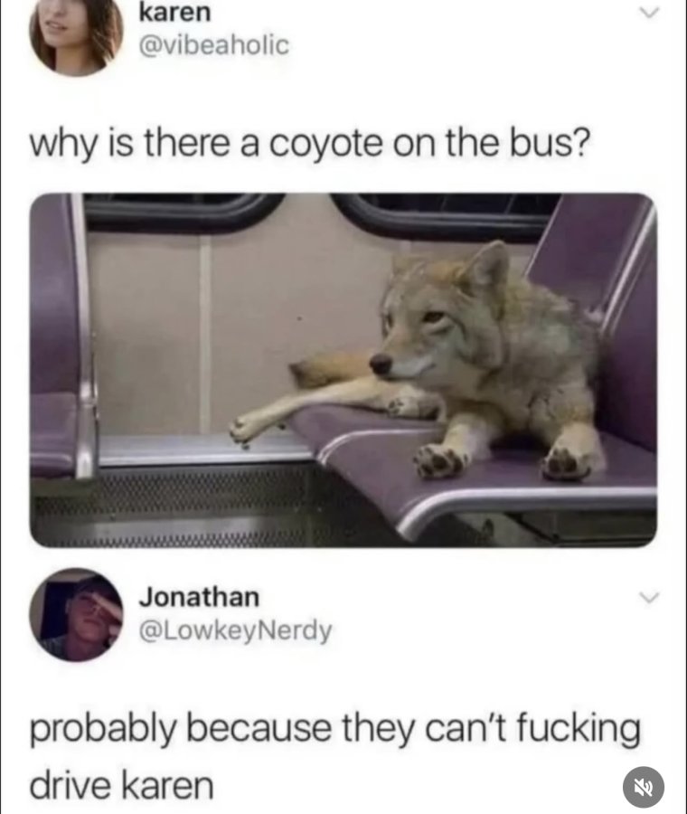 IMG_3741.jpeg