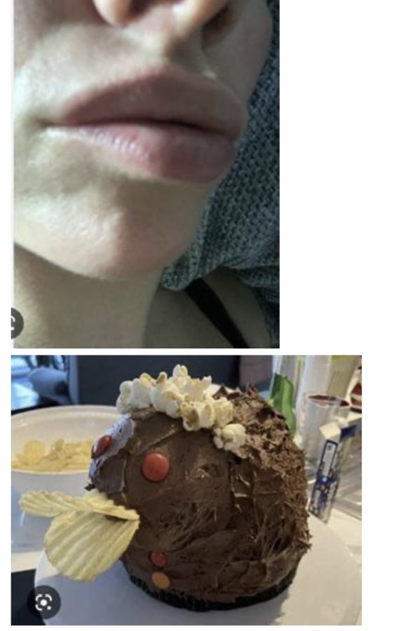 IMG_3814.jpeg