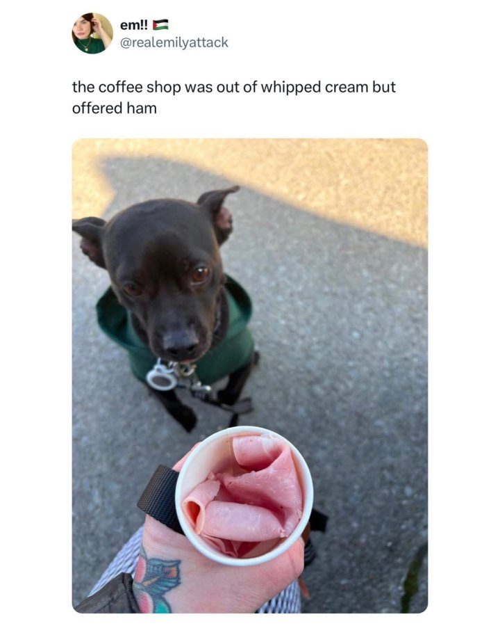 IMG_3860.jpeg