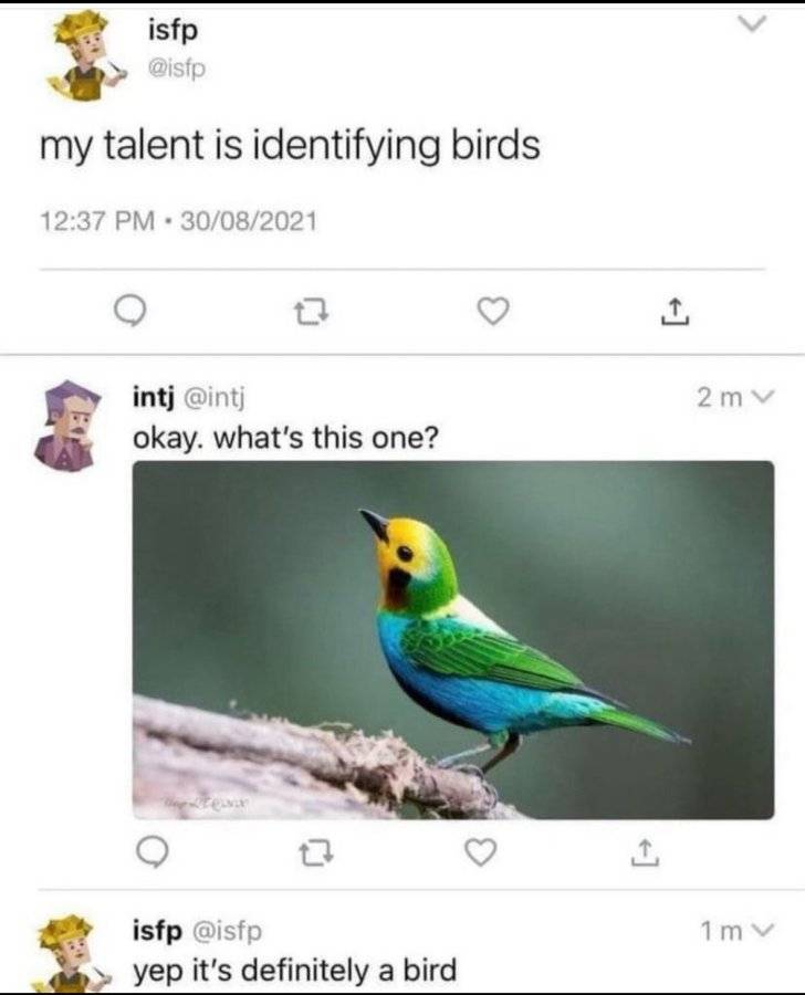 IMG_4446.jpeg