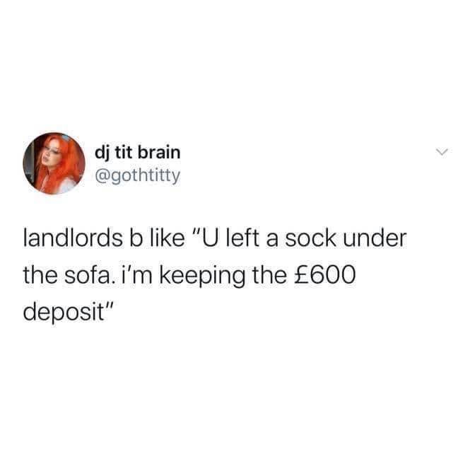 IMG_4529.jpeg
