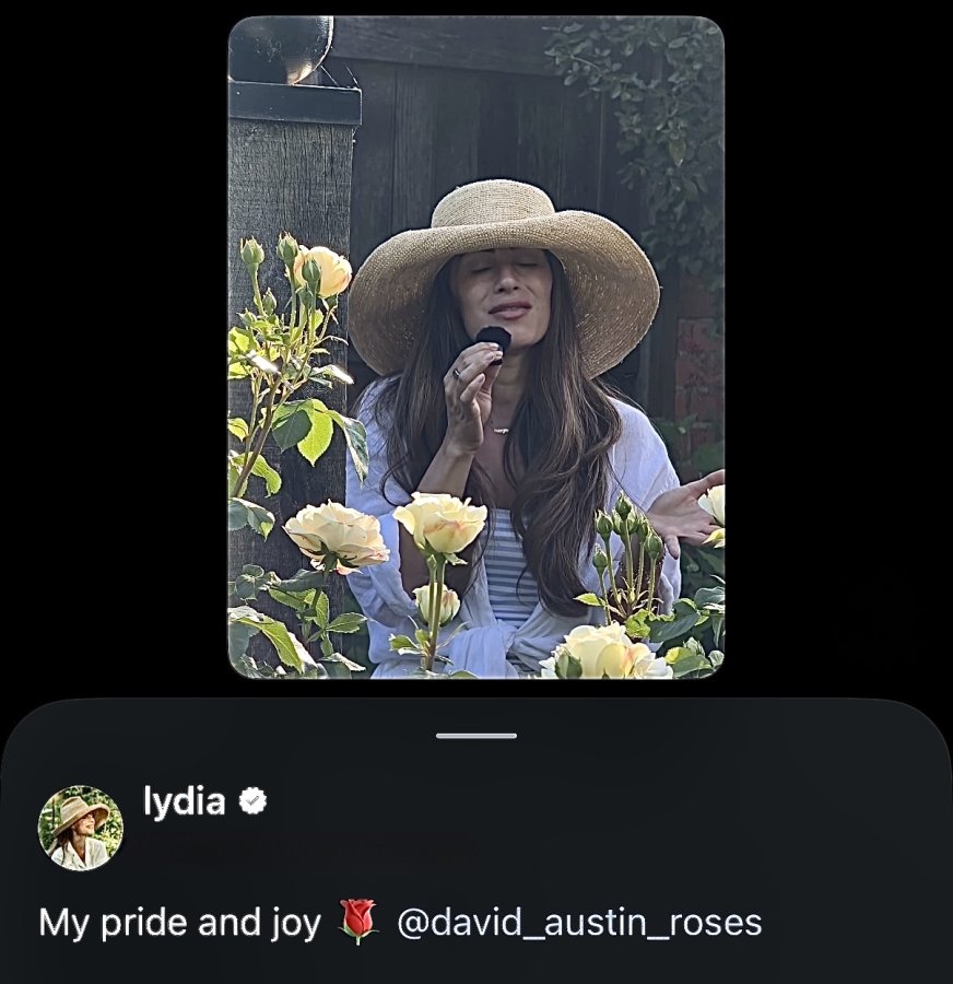 IMG_4869.jpeg