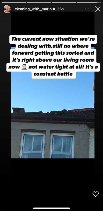 IMG_5322.jpeg