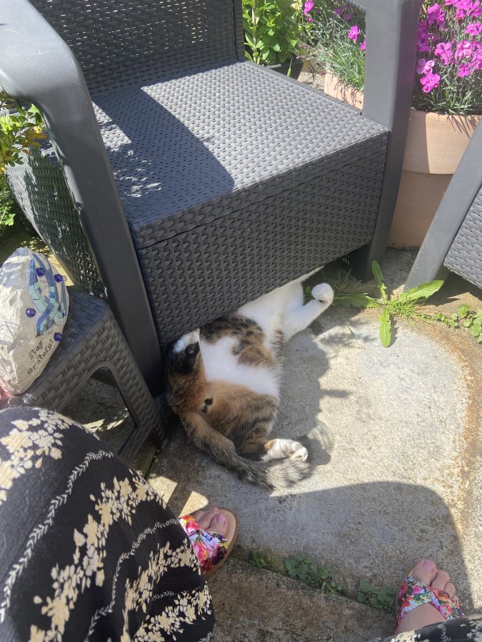 IMG_5327.jpeg