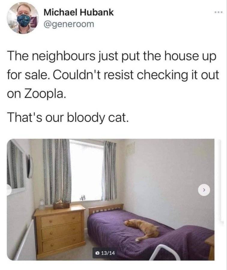 IMG_5762.jpeg