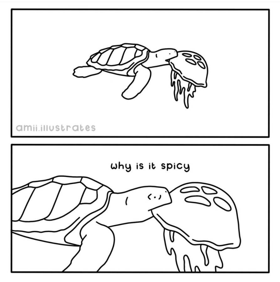 IMG_6050.jpeg