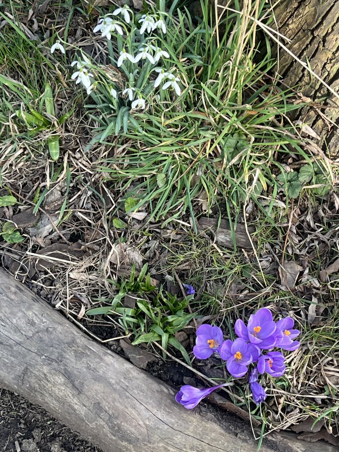IMG_6160.jpeg
