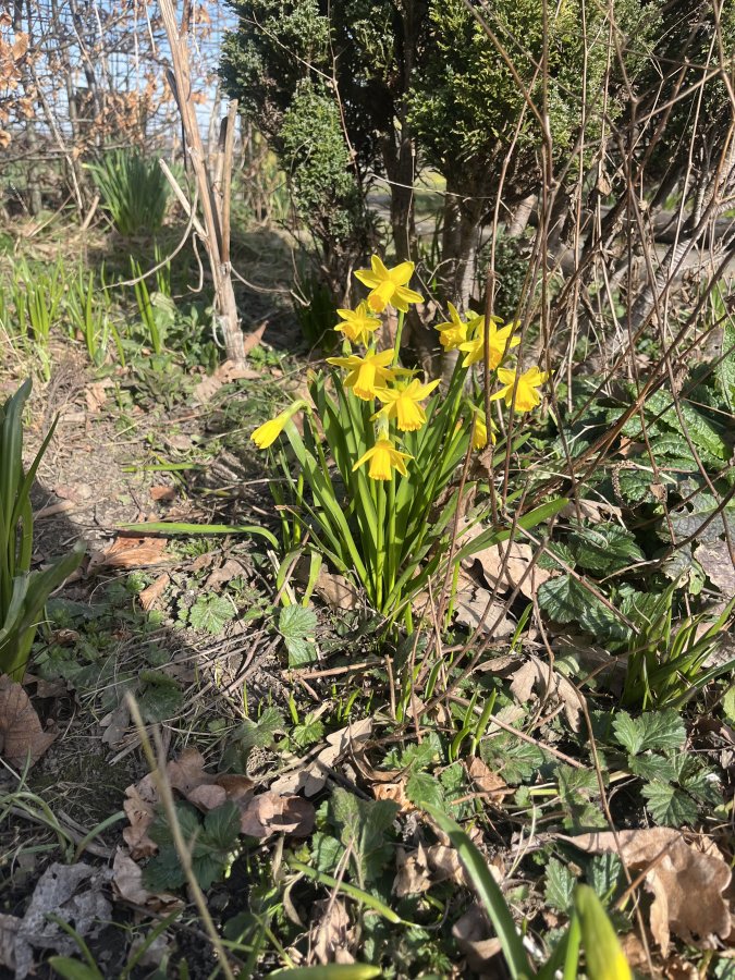 IMG_6162.jpeg