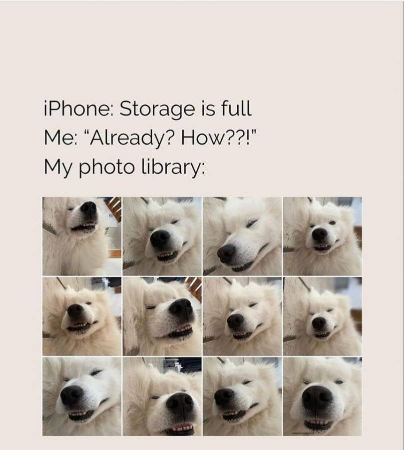 IMG_6861.jpeg