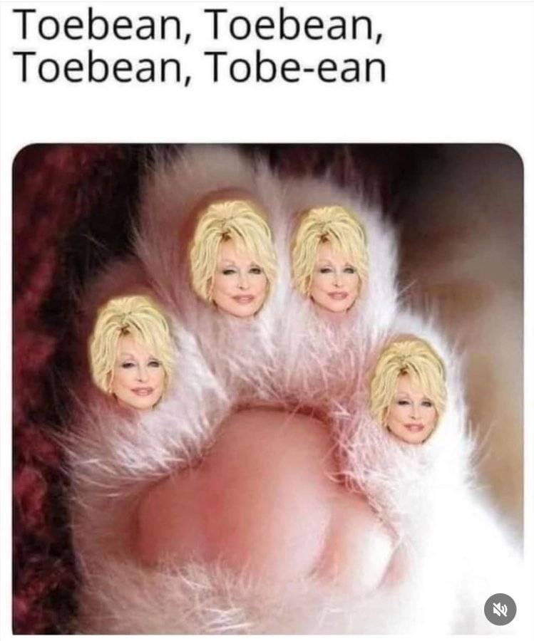 IMG_7064.jpeg