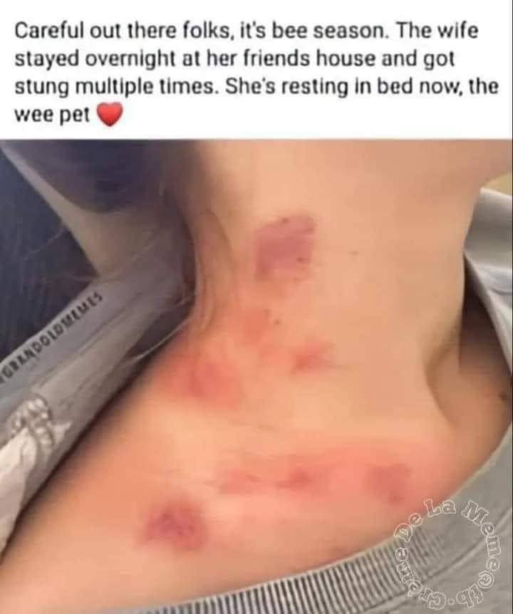 IMG_7076.jpeg
