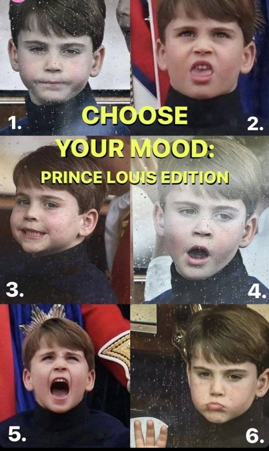 IMG_7238.jpeg
