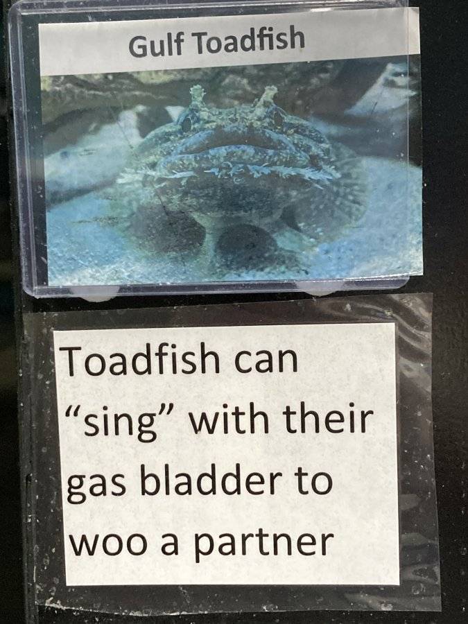 IMG_7423.jpeg