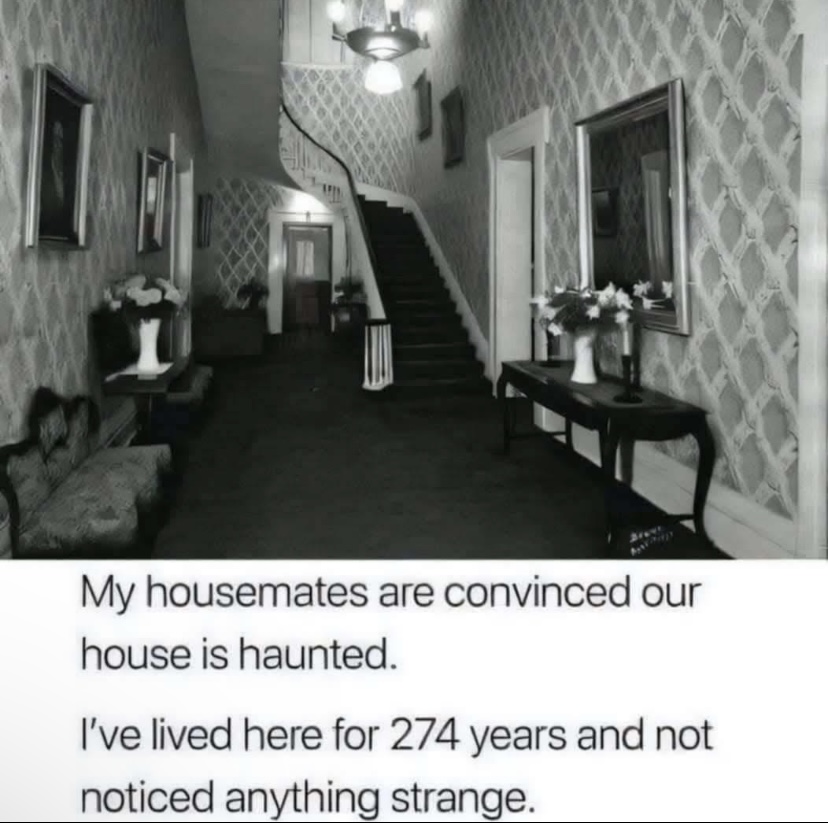 IMG_7816.jpeg