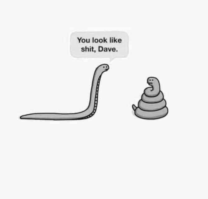 IMG_8173.jpeg