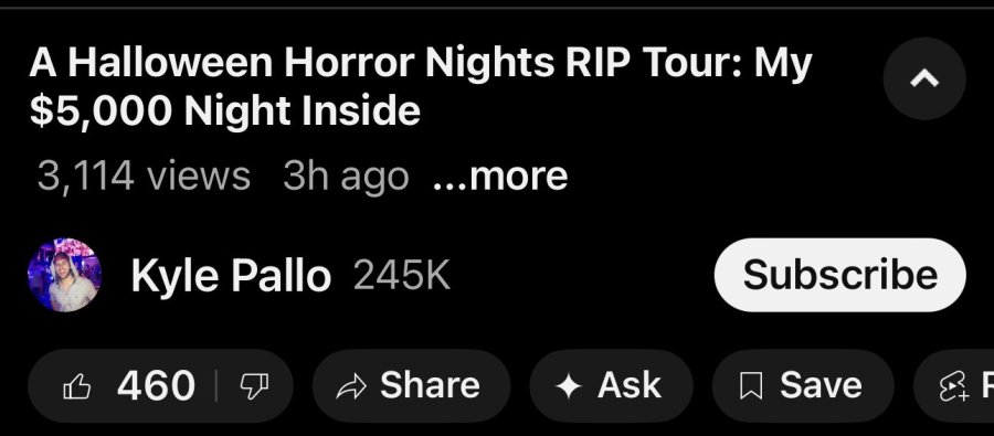 IMG_8300.jpeg