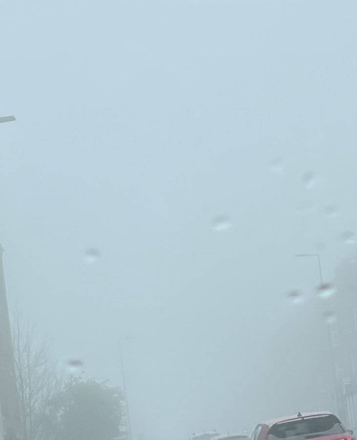 IMG_8455.jpeg