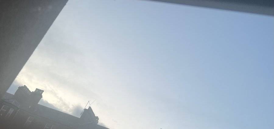 IMG_8546.jpeg