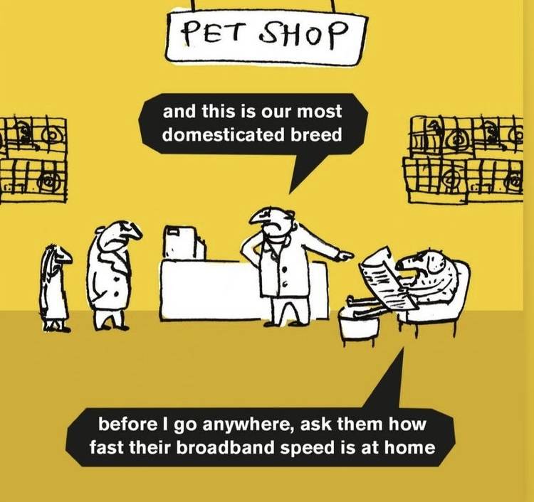IMG_8552.jpeg