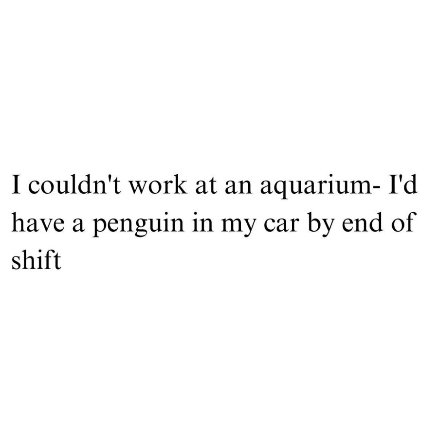 IMG_8650.jpeg