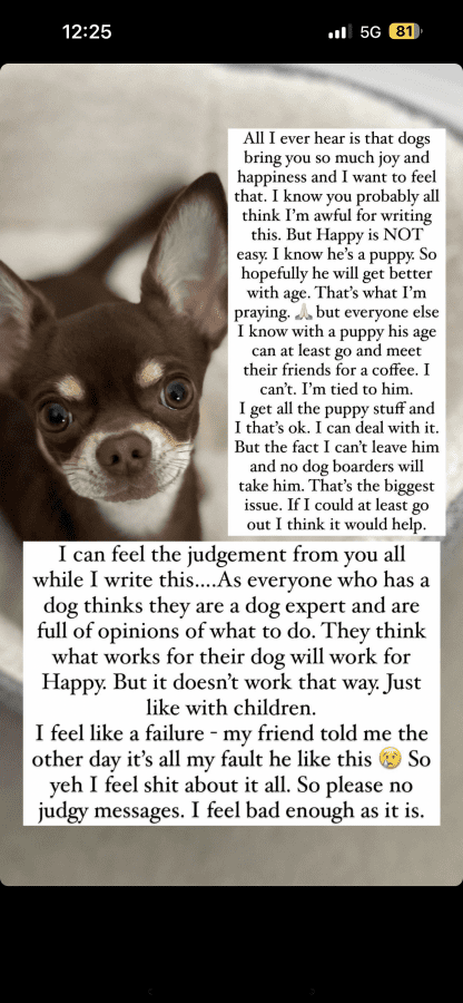 IMG_9049.png