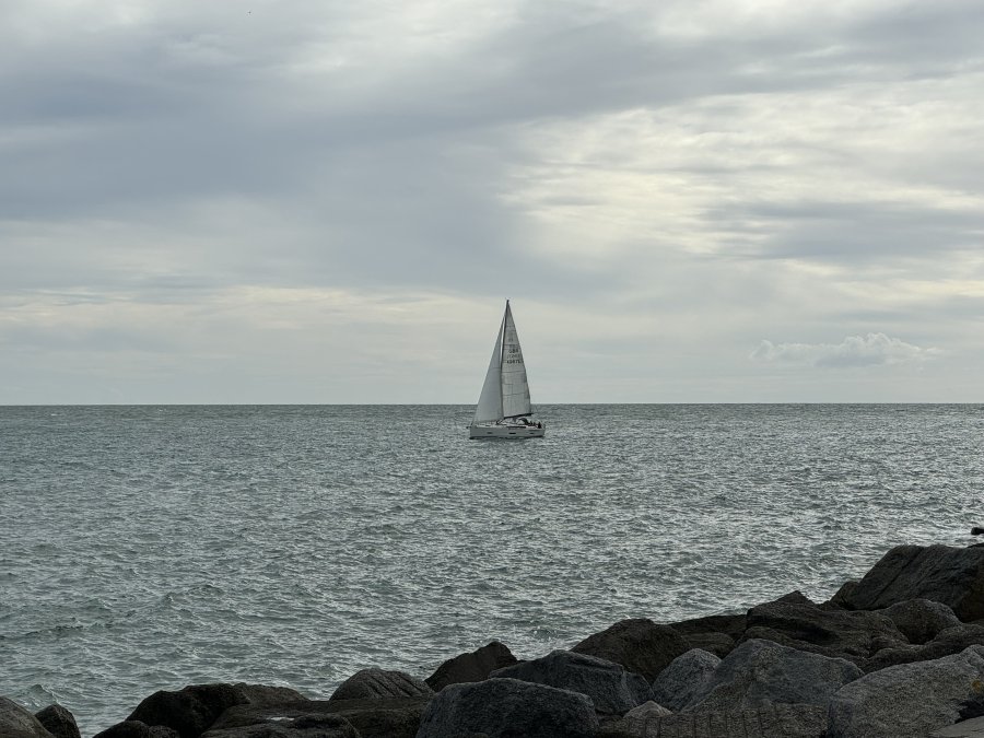 IMG_9682.jpeg